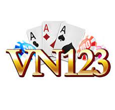 VN123